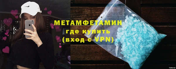 прущие грибы Горнозаводск