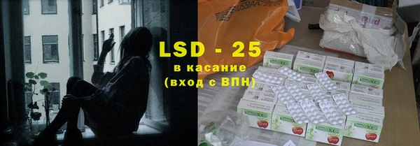 прущие грибы Горнозаводск