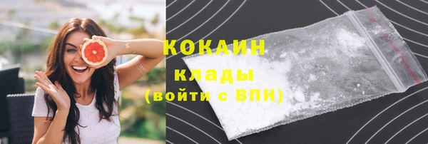 прущие грибы Горнозаводск