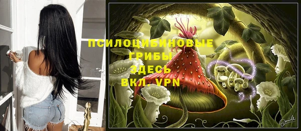 прущая мука Горняк
